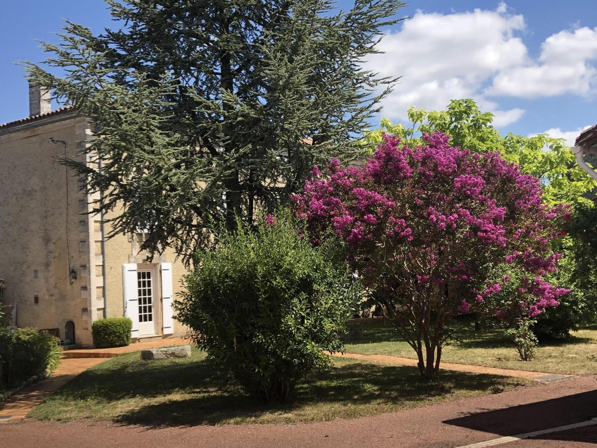 Bed and Breakfast The Cool Lounge A Coulonges - Charente Exterior foto